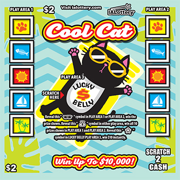 Cool Cat