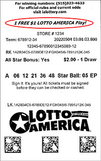 Sample Lotto America ticket